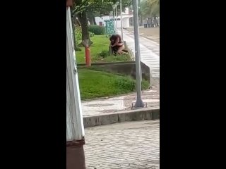 public 1703