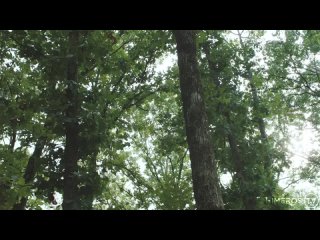 [himerostv] - opening up - (jason dutch, jonah wheeler zed sheng)