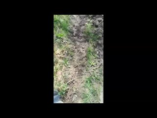 video by is overheard a great ustyug